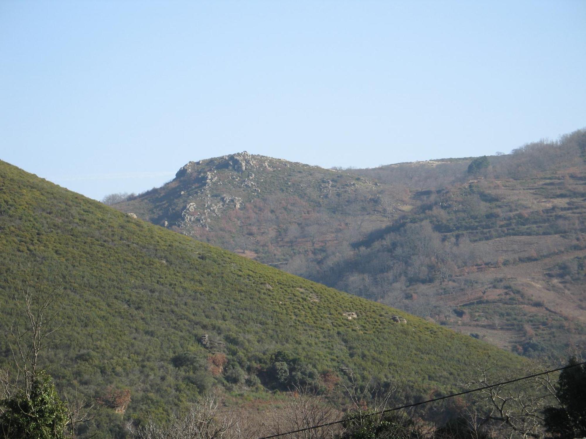 Quinta Dos Castanheiros - Turismo Rural Negreda Exterior foto