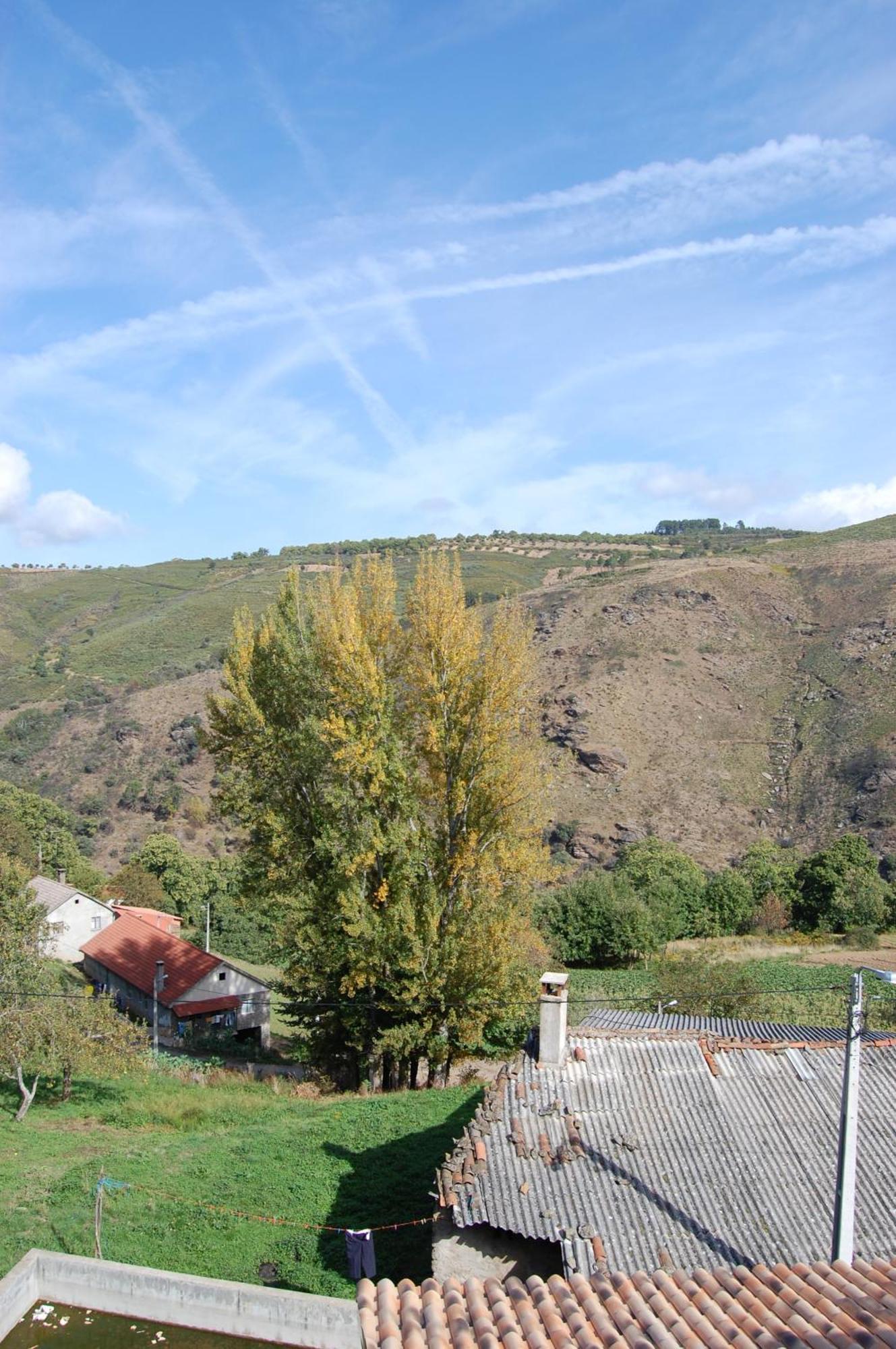 Quinta Dos Castanheiros - Turismo Rural Negreda Exterior foto